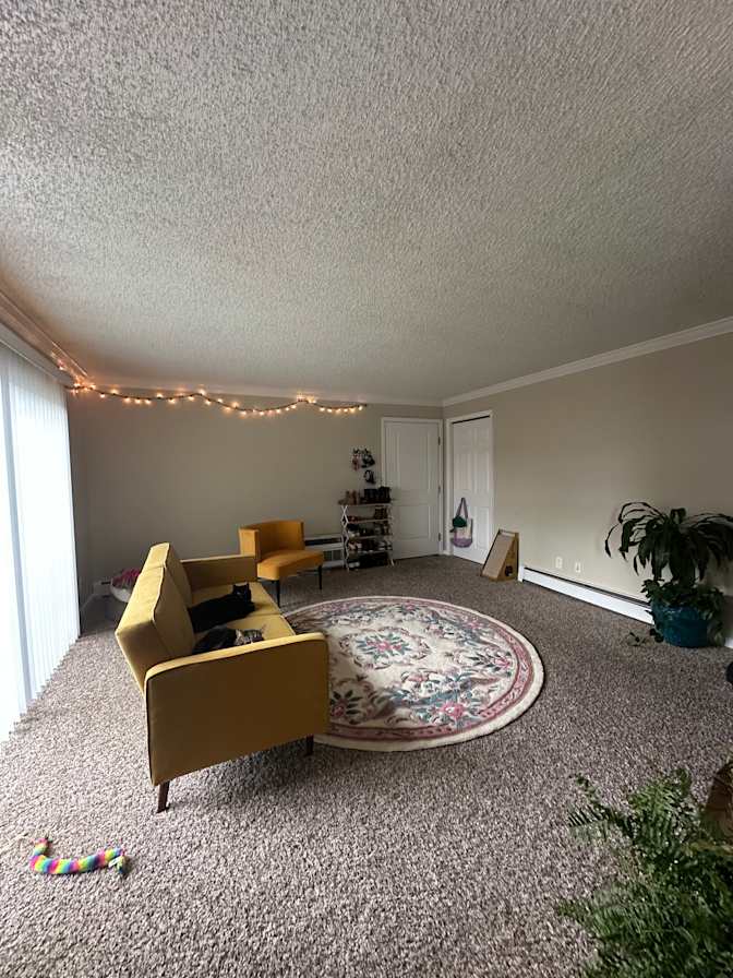 Alyssa's room