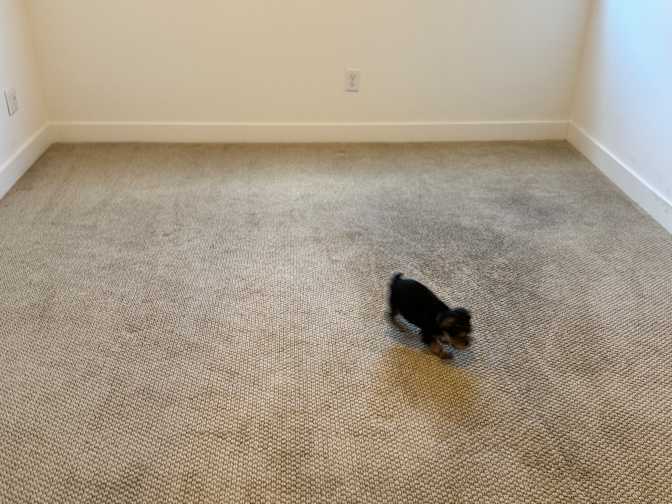 Jennifer's room