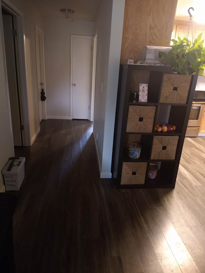 Robin's room
