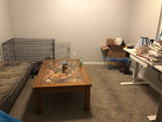 Jodie's room