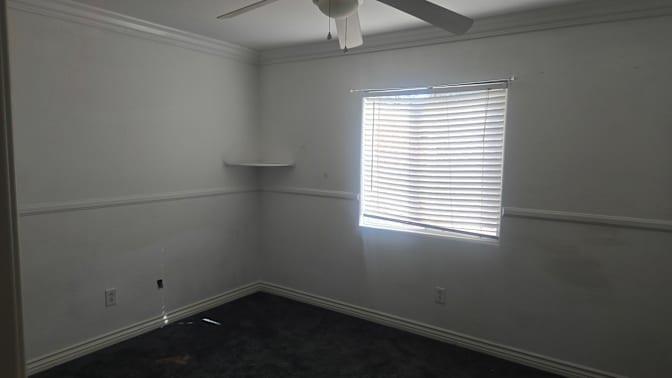Rocky's room