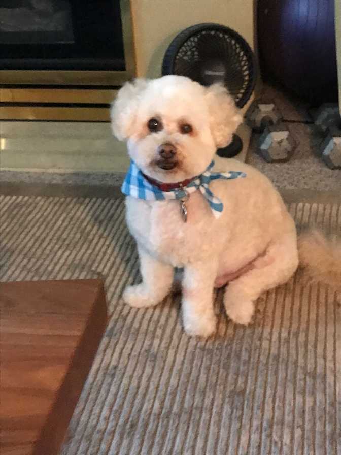 Barron McConnachie's room