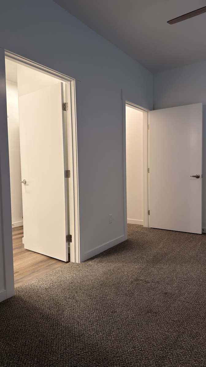 David's room