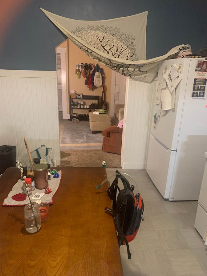 Cat's room