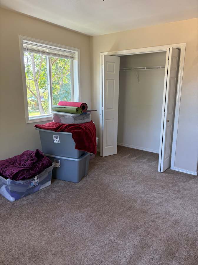 Zoe's room