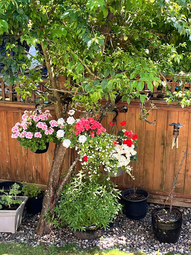 Basement Suite at Panorama Sullivan area in Surrey's room