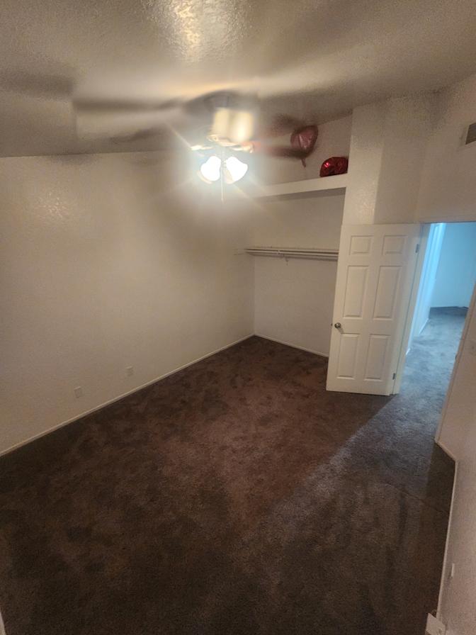 Jorge's room