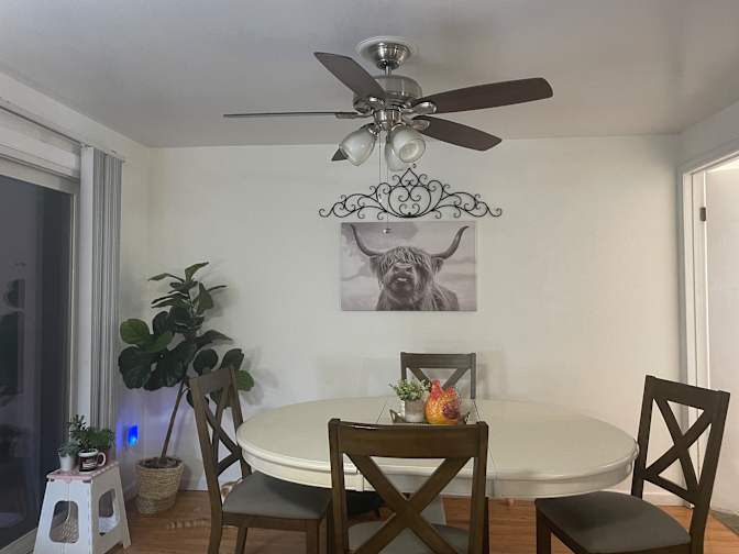 Allison's room