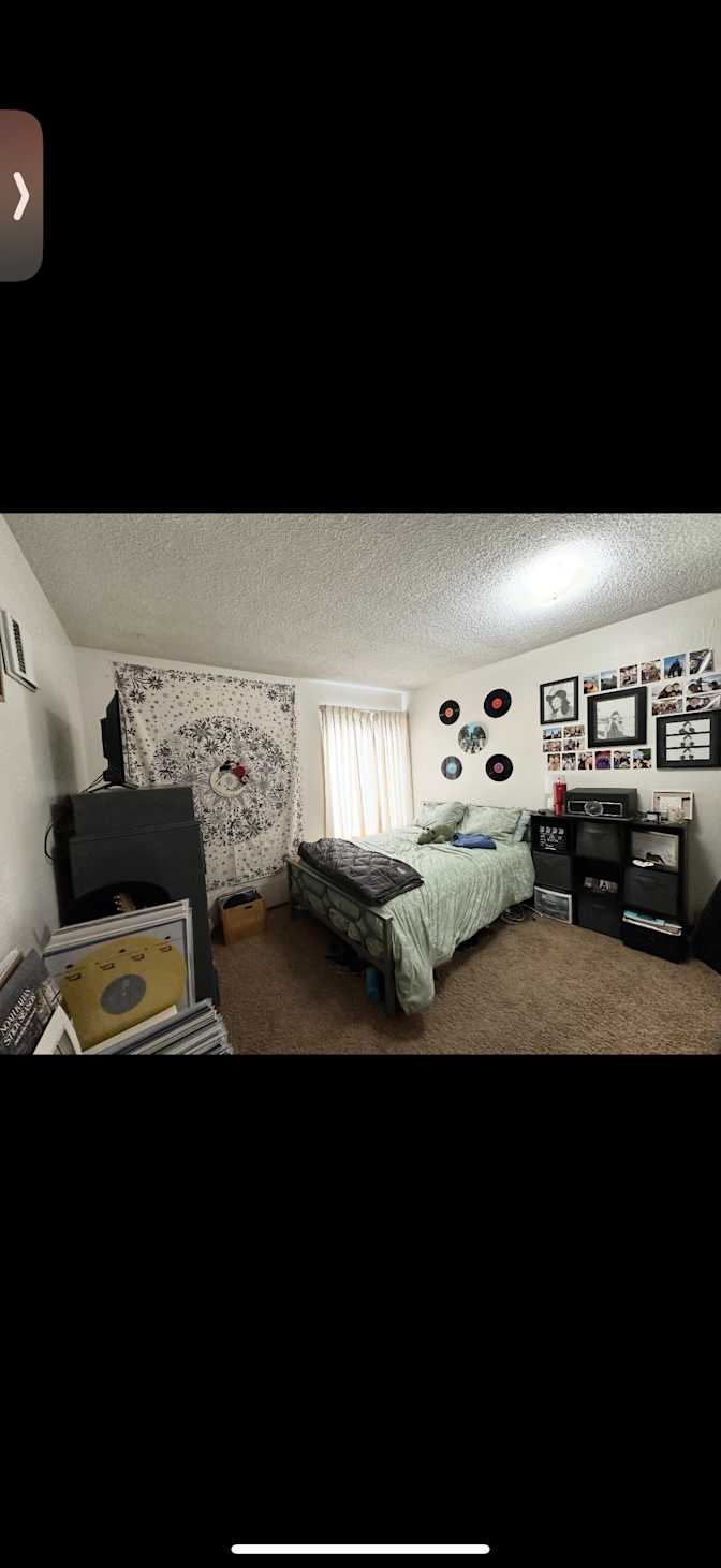 Lily's room