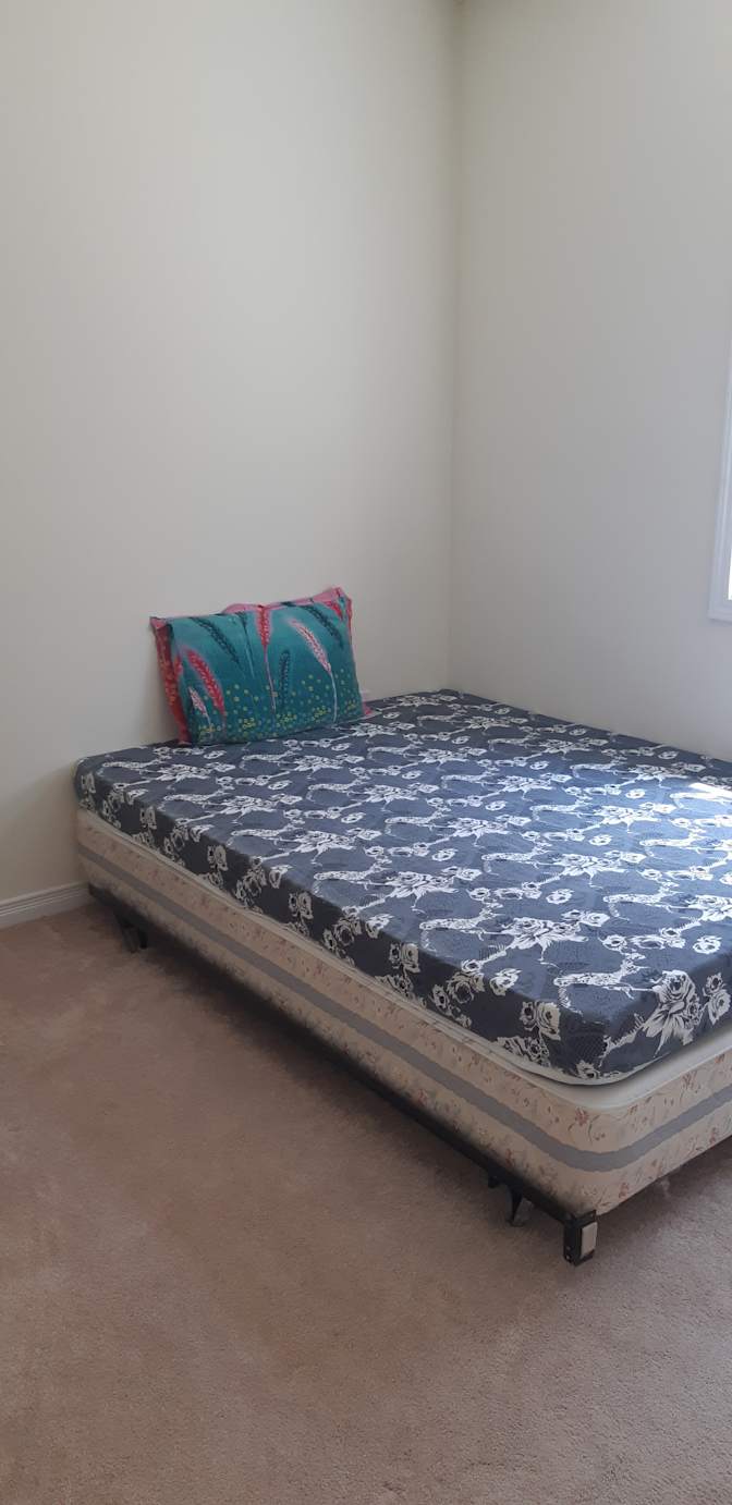 Shaheen's room
