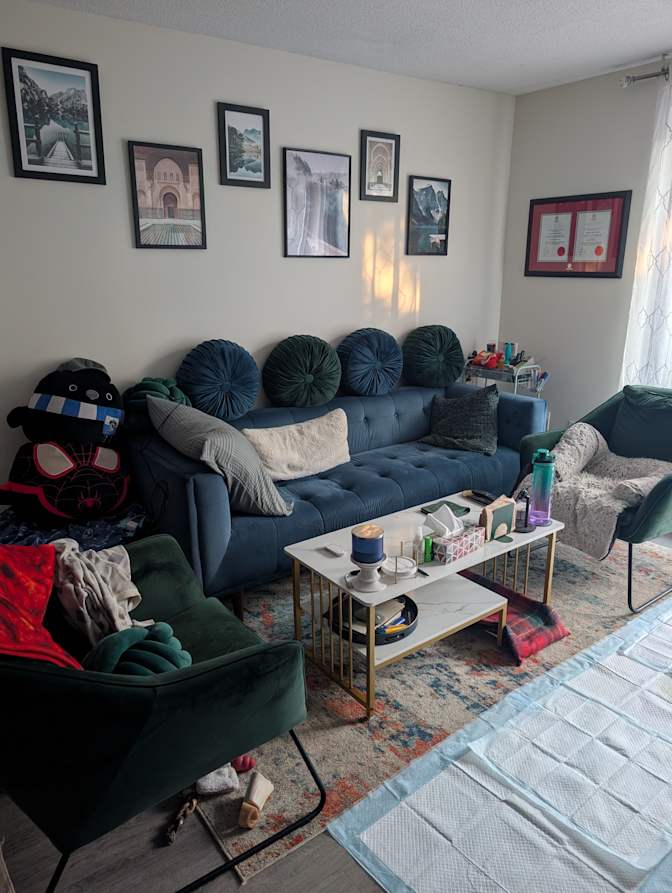 Shaz's room