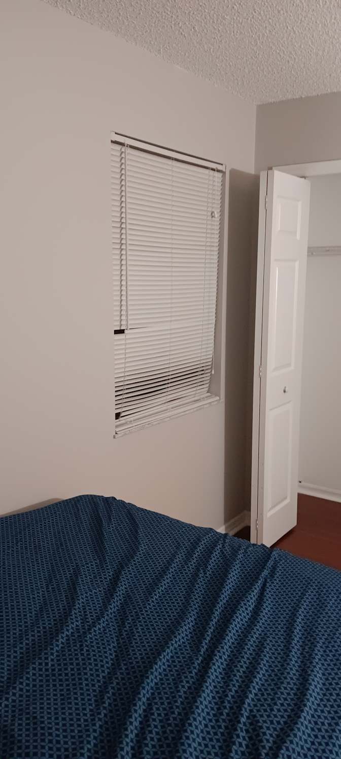 Lucy's room