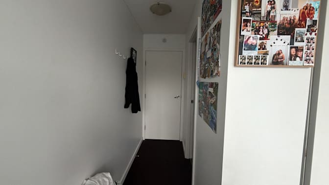 Cat's room