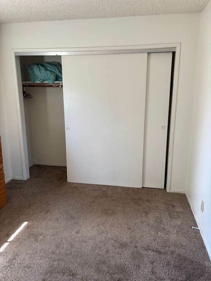 Carol's room