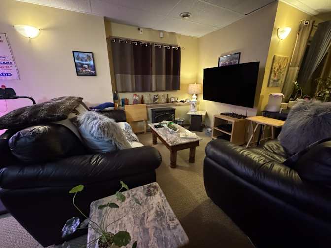 David's room