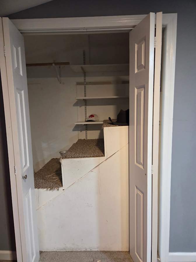 Laura mendoza's room
