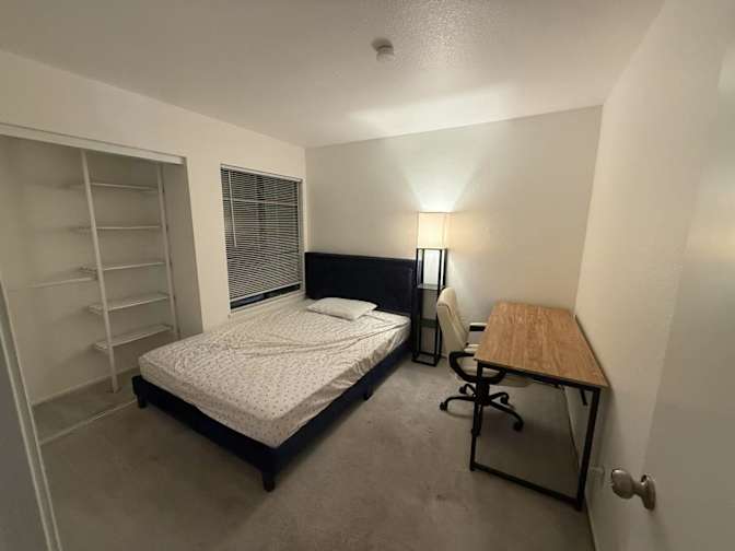 Lisa Z's room