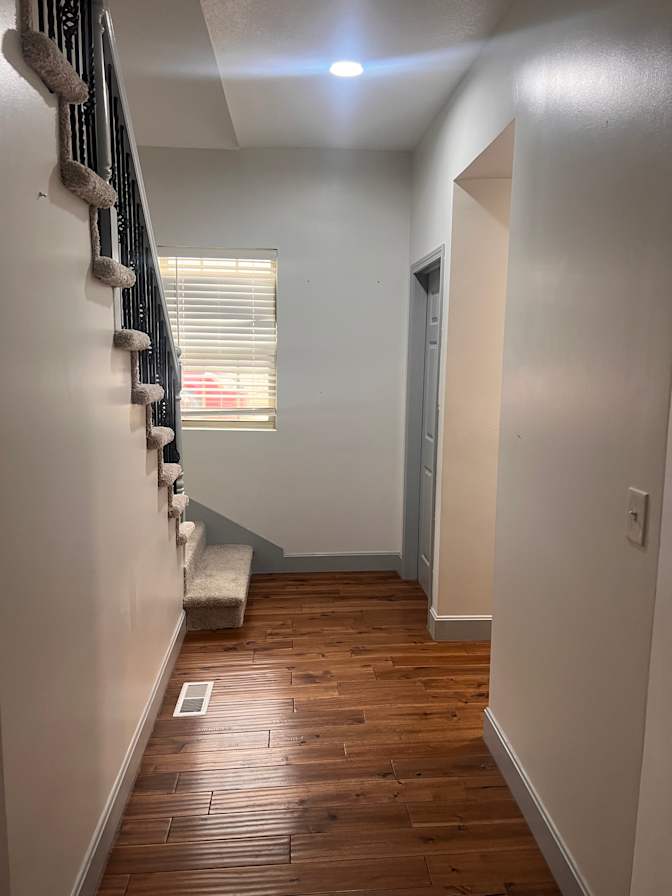 david's room