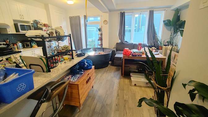 Meghan's room