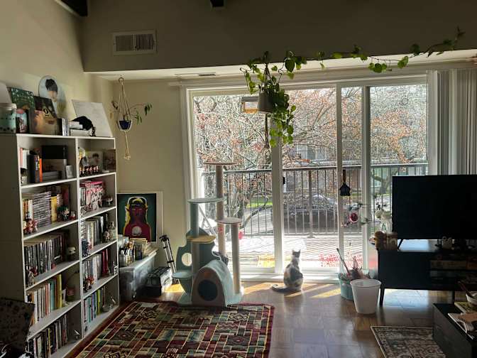Liliana's room