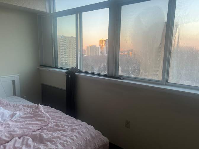 Nadisha Alahakoon's room