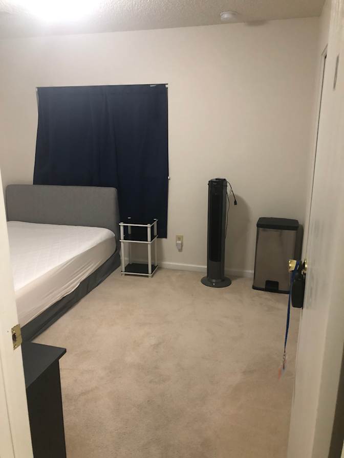 Duc's room