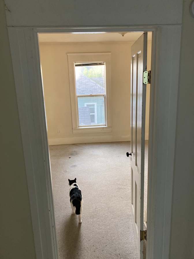 Andi's room