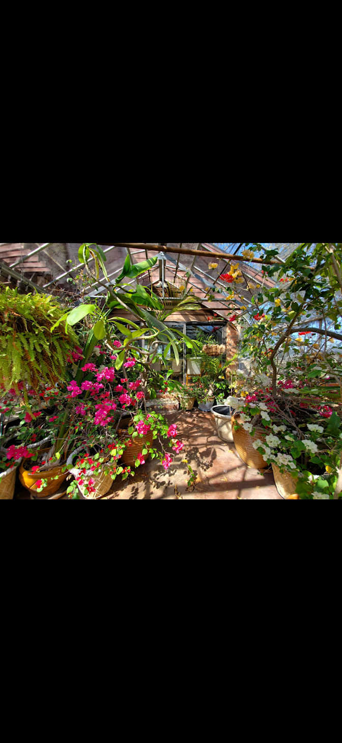 Carlos Ortiz's room