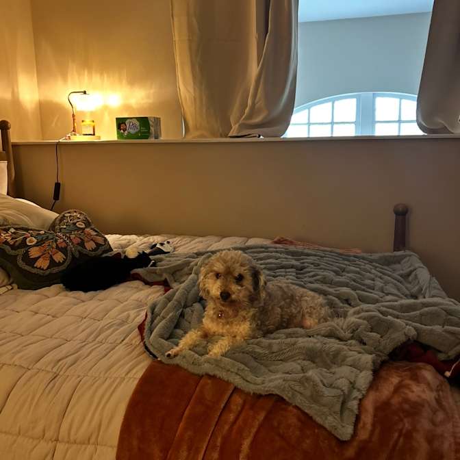 Madisen Thomsen's room
