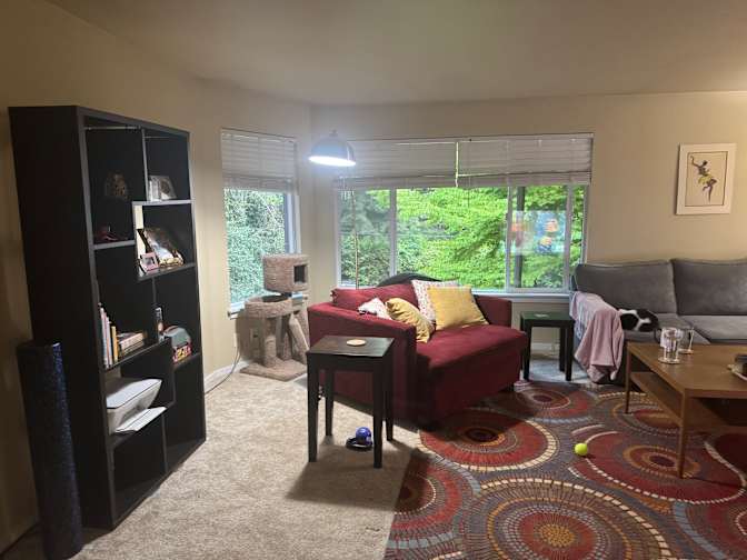 Stephanie E Sellnau's room