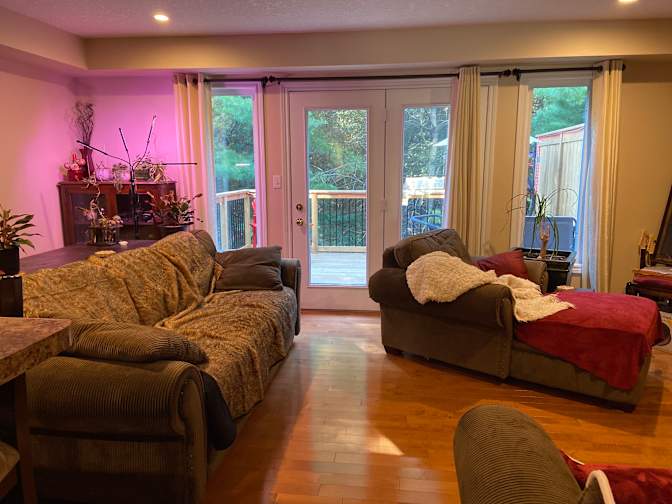 Carolyn's room