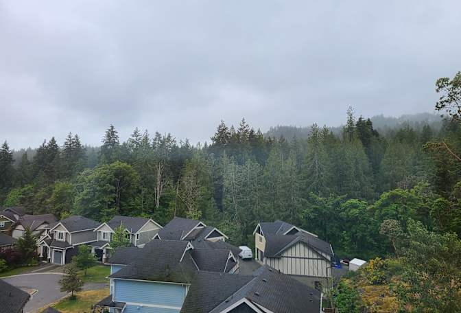 Vancouver Island View's room