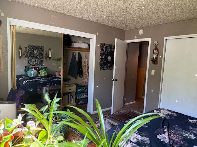 Hayli's room