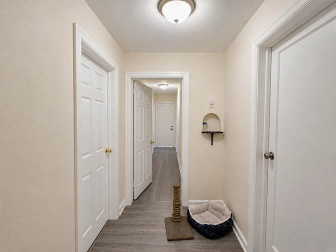 Omar's room