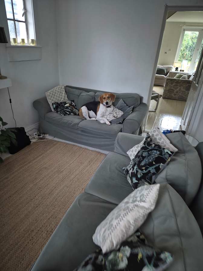 Tara Fortune's room