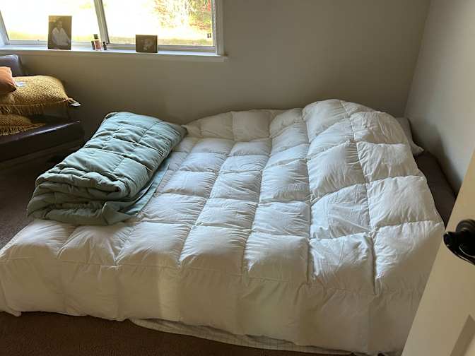 Laura's room