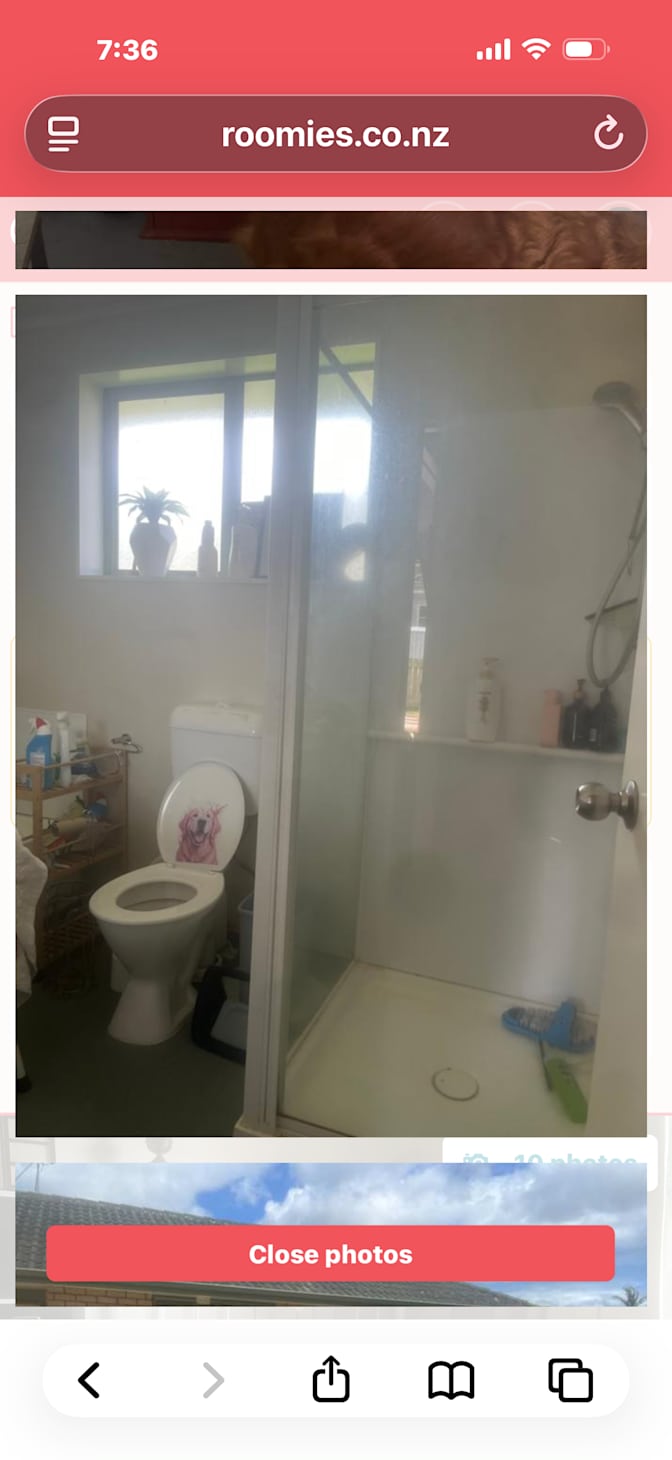 Joshy  Fitzgerald's room