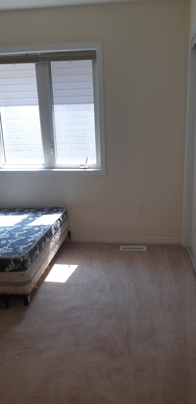 Shaheen's room