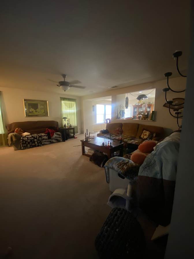 bailey's room
