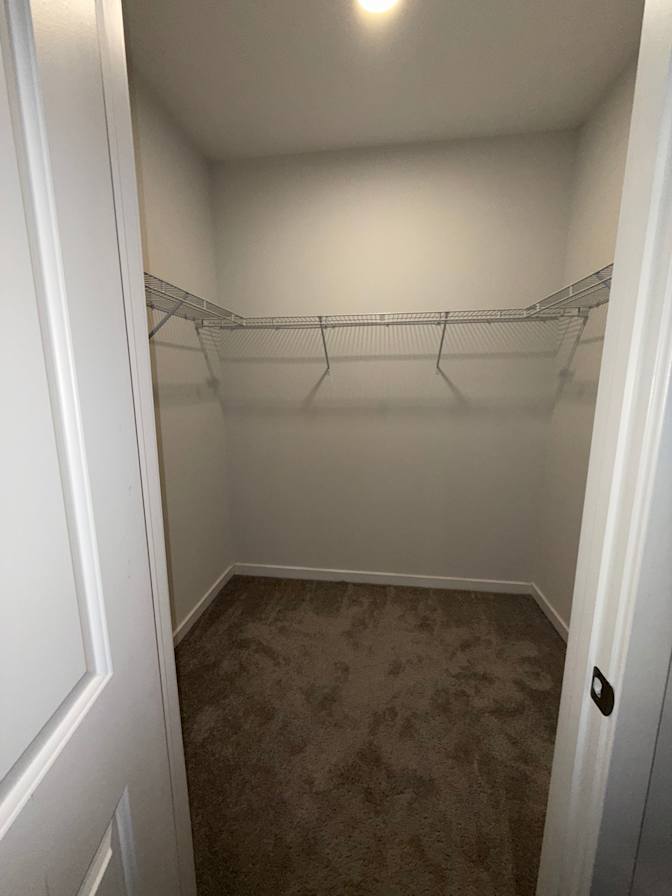 Whitney's room