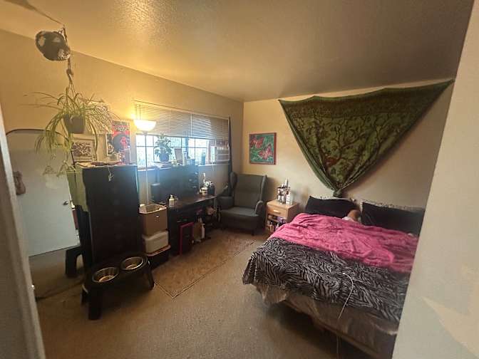 Ash's room