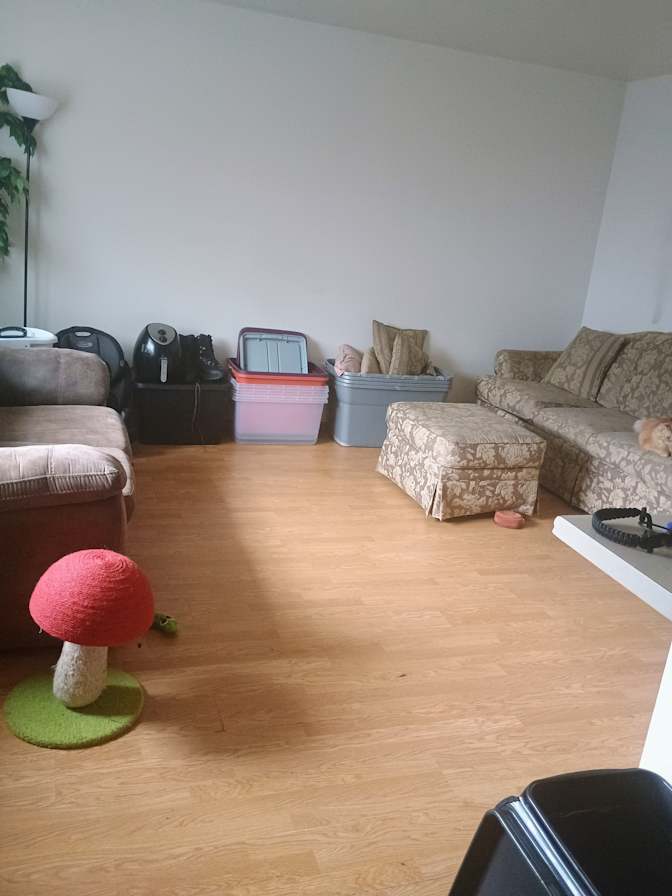 Morgan's room