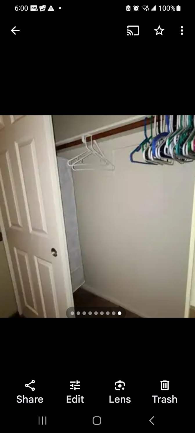 Bear's room
