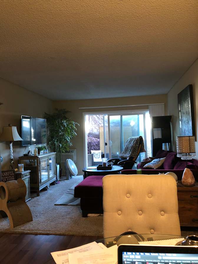 Shannon's room
