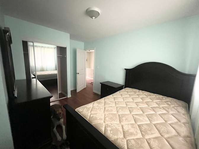Caitlin's room