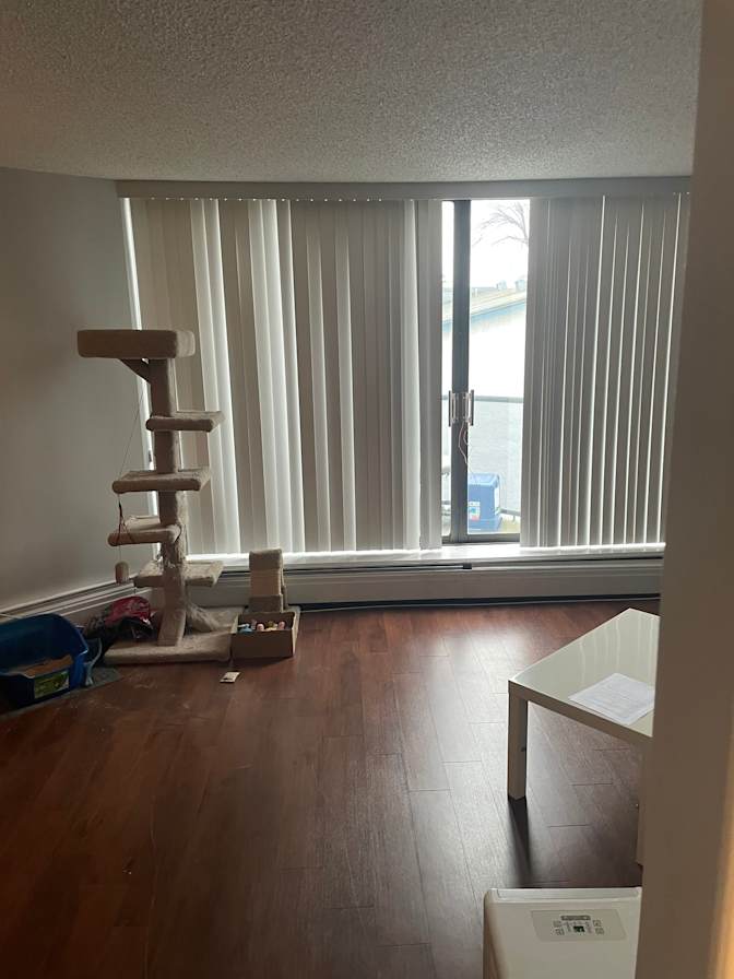 Brock's room