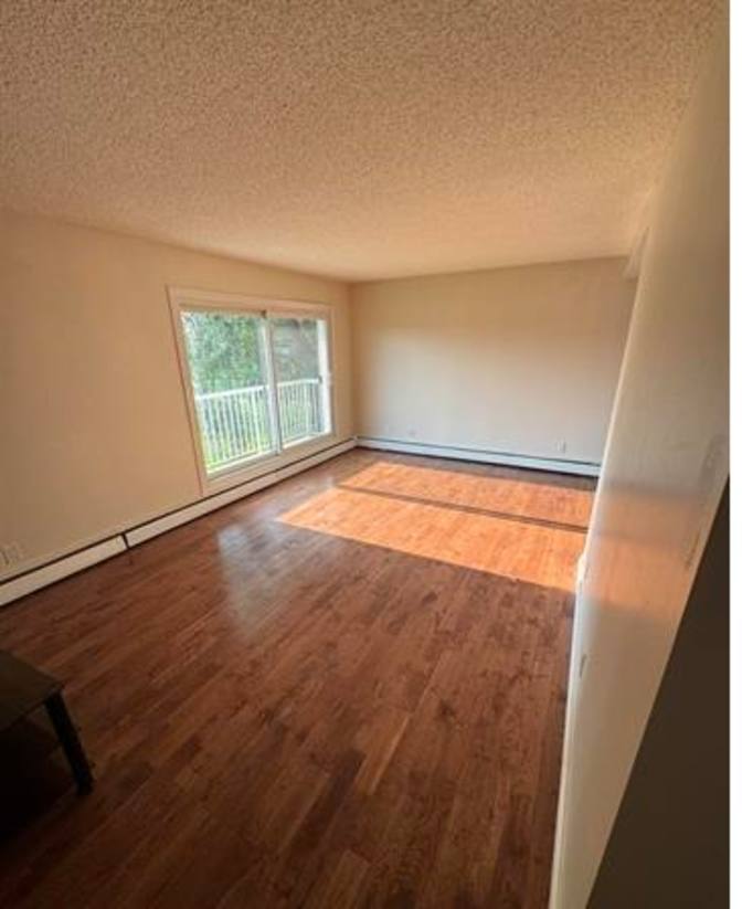 Todd's room