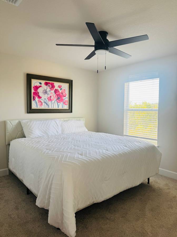 Sofie's room