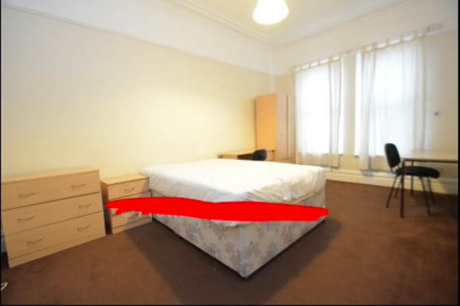 Ayse Demirel's room