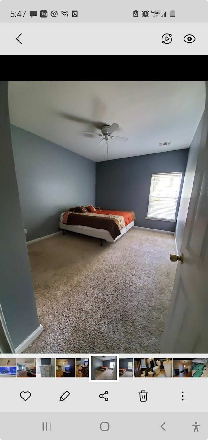 Bee's room